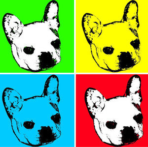 Meet your Posher, Nicholas